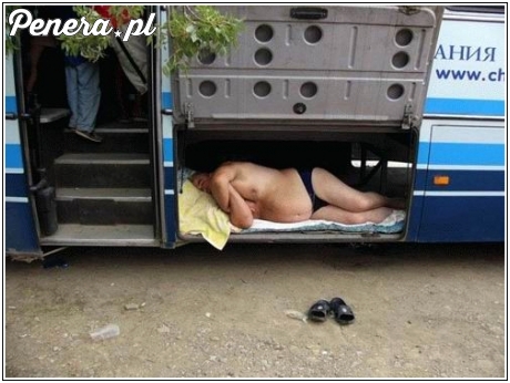 Pauza kierowcy autobusu :D