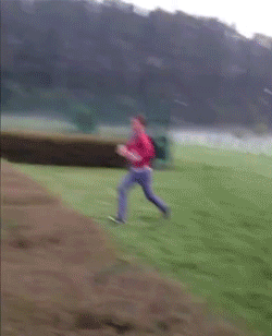 Piękny skok przez żywopłot