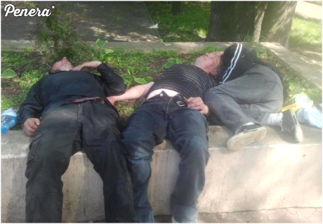 Pierwsze oznaki lata