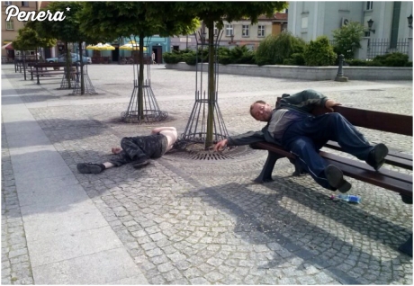 Pierwsze oznaki  lata