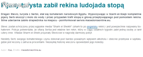 Pijany Serb zabił stopą rekina ludojada