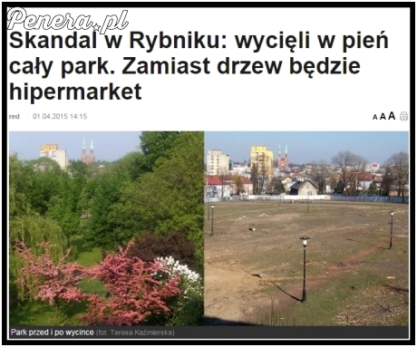 Po co komu park?