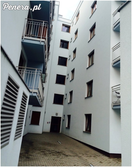 Podaj rękę swojemu sąsiadowi