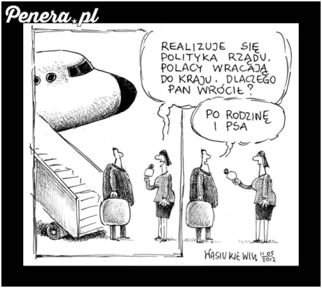 Polacy wracają do kraju