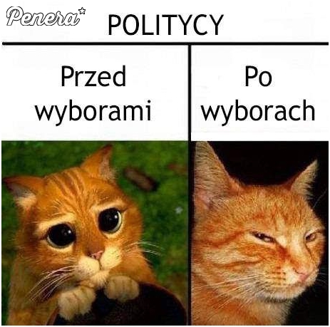 Politycy przed i po wyborach