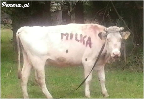Polska Milka