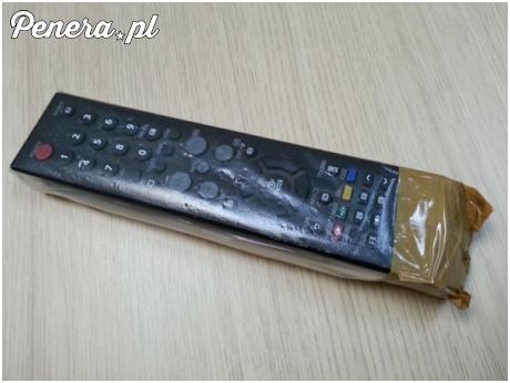 Polska ochrona na pilota