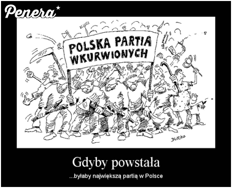 Polska partia Wkurw*onych