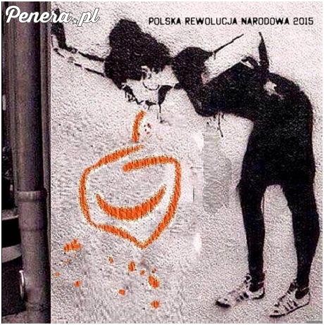 Polska rewolucja narodowa 2013
