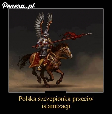 Polska szczepionka przeciw islamizacji