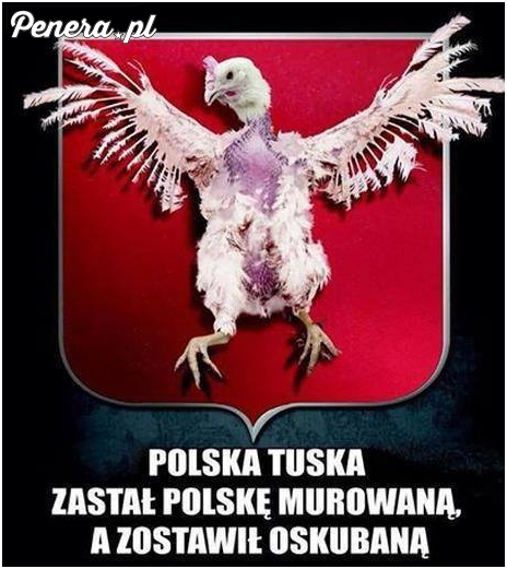 Polska Tuska - zastał murowaną zostawił oskubaną