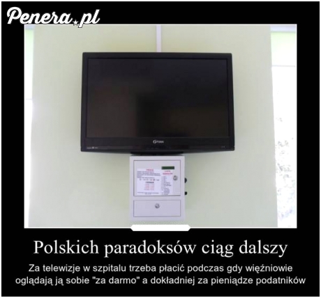 Polskich absurdów ciąg dalszy