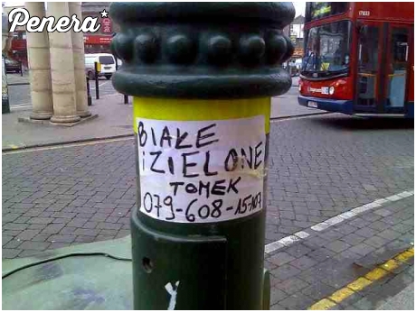 Polskie ogłoszenie na londyńskim słupie