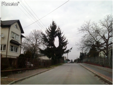 Pomysłowi pracownicy zakładów energetycznych