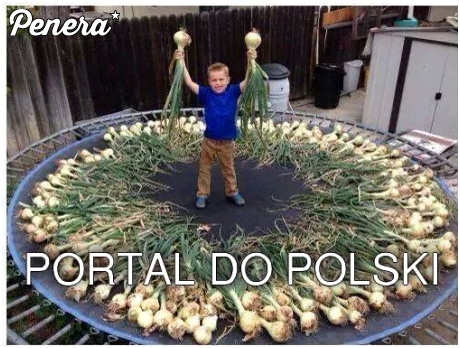 Portal do Polski