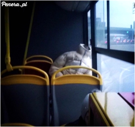 Powrót z imprezy w niedzielę rano