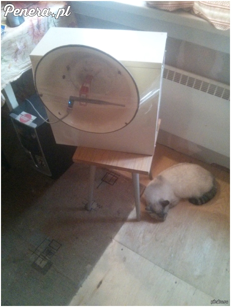 Profesjonalny wzmacniacza sygnału