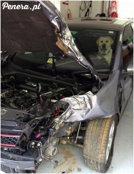 Prosił żeby dać mu się przejechać kawałek