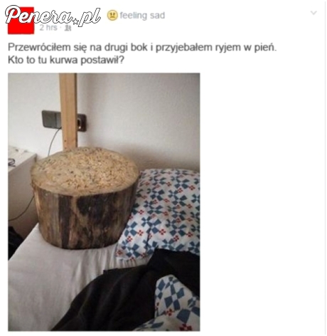 Przyje*ać ryjem w pień