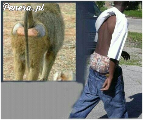 Przykład idzie z natury