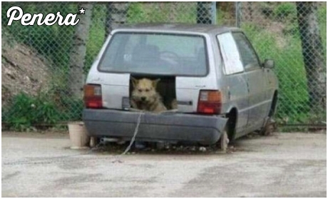 Przynajmniej na żyletki nie poszedł