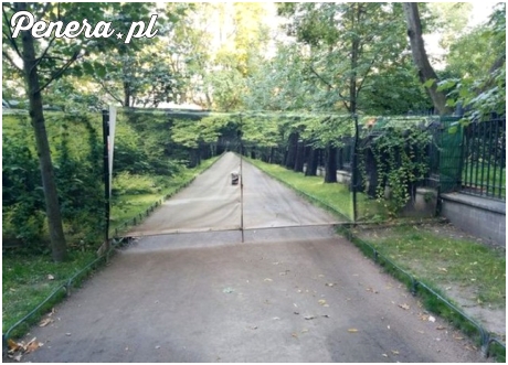 Rewelacyjny pomysł na bramę