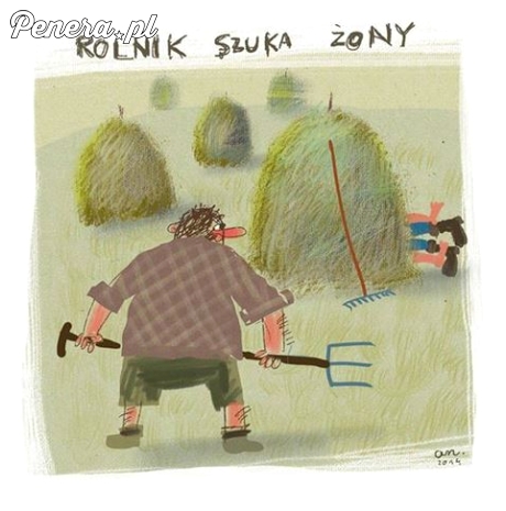Rolnik szuka żony