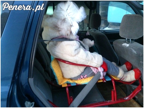 Rosyjski fotelik samochodowy dla dzieci