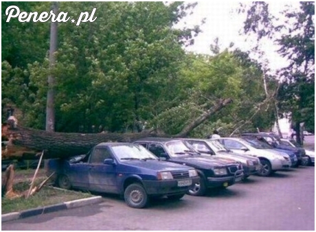 Rosyjski patent na produkcję pickupów