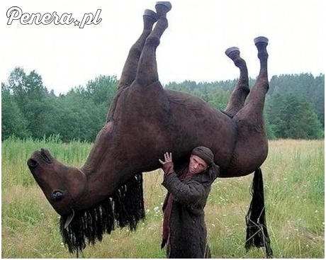 Rusek idzie zjeść konia z kopytami