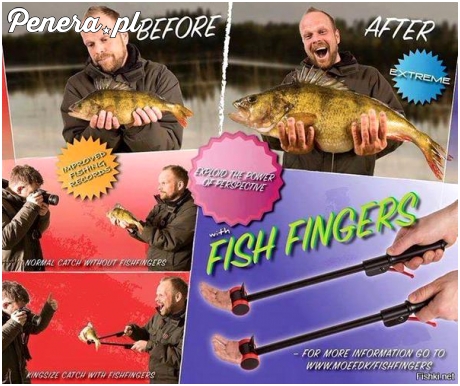 Ryba z łapy wygląda o wiele lepiej