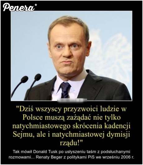 Ryży hipokryta Ryży hipokryta