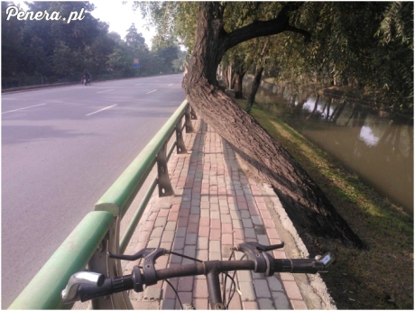 Ścieżka rowerowa z przeszkodami