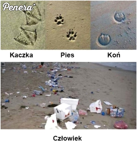 Ślady pozostawione na plaży