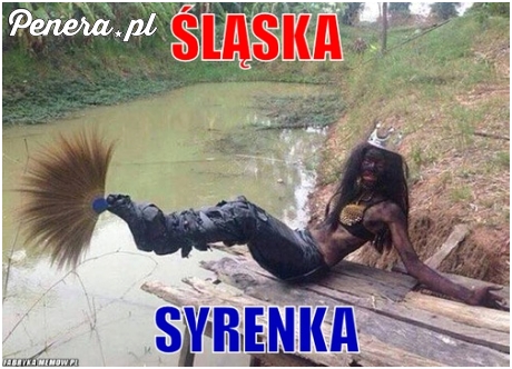 Śląska syrenka