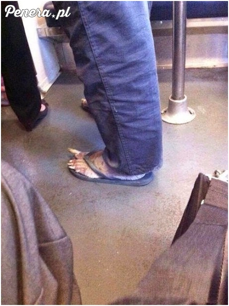 Ślicznie zapuszczone pazurki