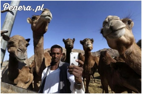 Słit focia z żonami ;)