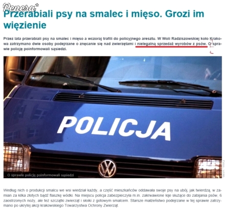 Smalczyk z psiaków