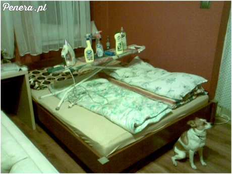 Śniadanie do łóżka dla żony Śniadanie do łóżka dla żony