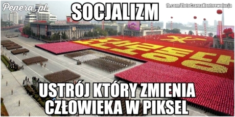 Socjalizm - ustrój który zmienia człowieka w pixel