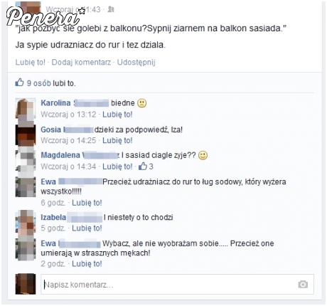 Sposób na gołębie