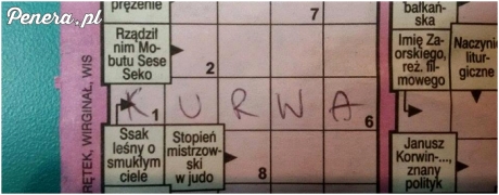 Ssak leśny o smukłym ciele