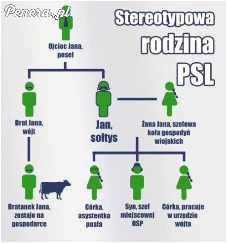 Stereotypowa rodzina PSL