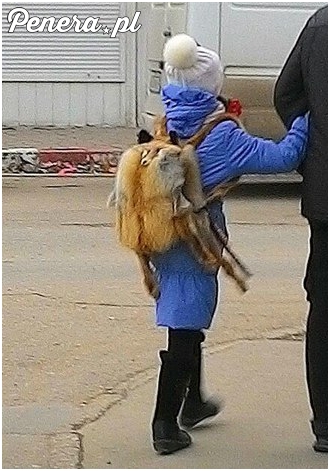 Stylowy plecak z liska