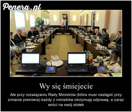 Świnie znowu opchają się kasą