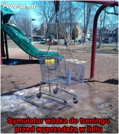 Symulator wózka z Lidla