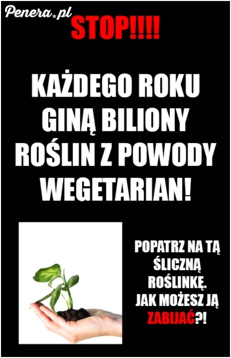 Szach i mat wegetarianie