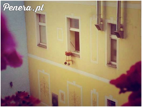 Szczeciński pomysł na grilla w kamienicy