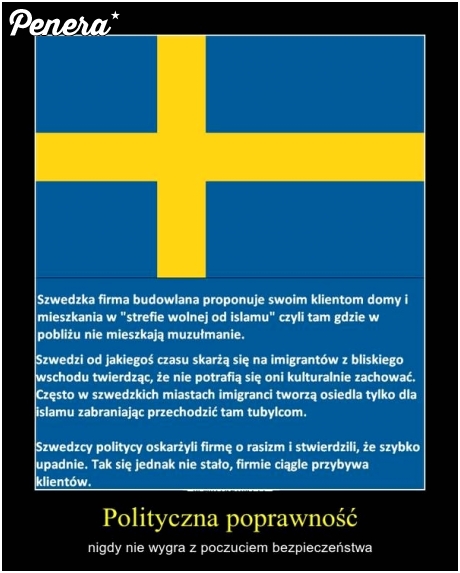 Szwedzki sposób na biznes
