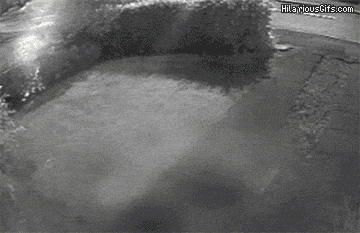 Szybkie parkowanie w ogródku